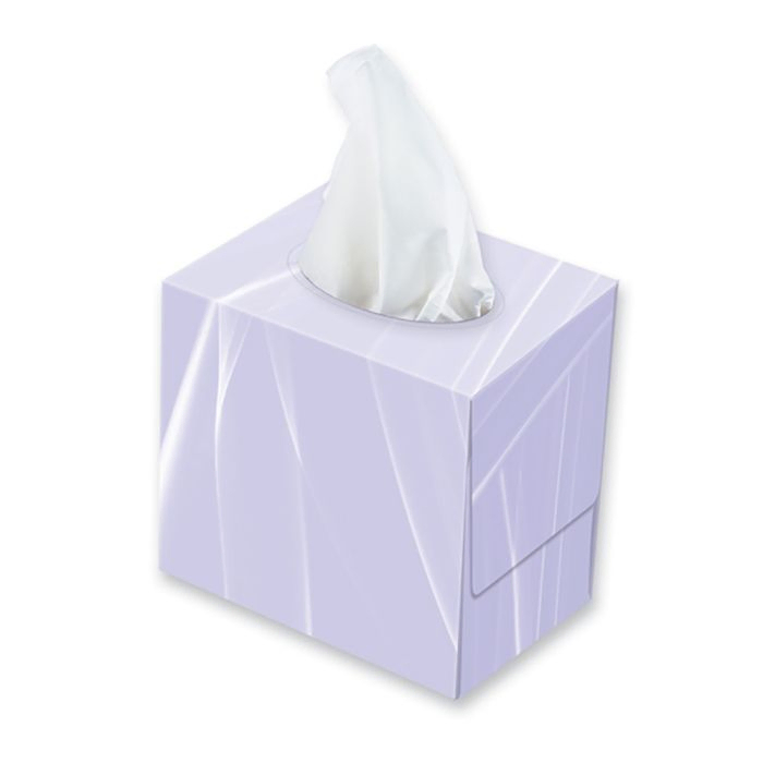 Cloudsoft Cube 2ply Facial Tissues ? Case of 24
